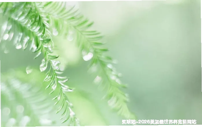 服务理念与承诺