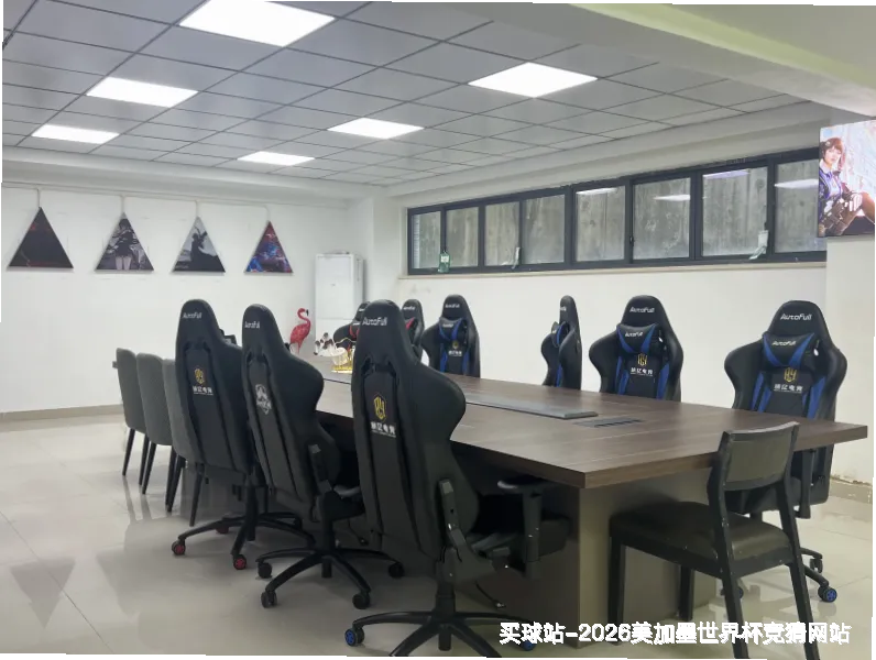 未来愿景与发展方向